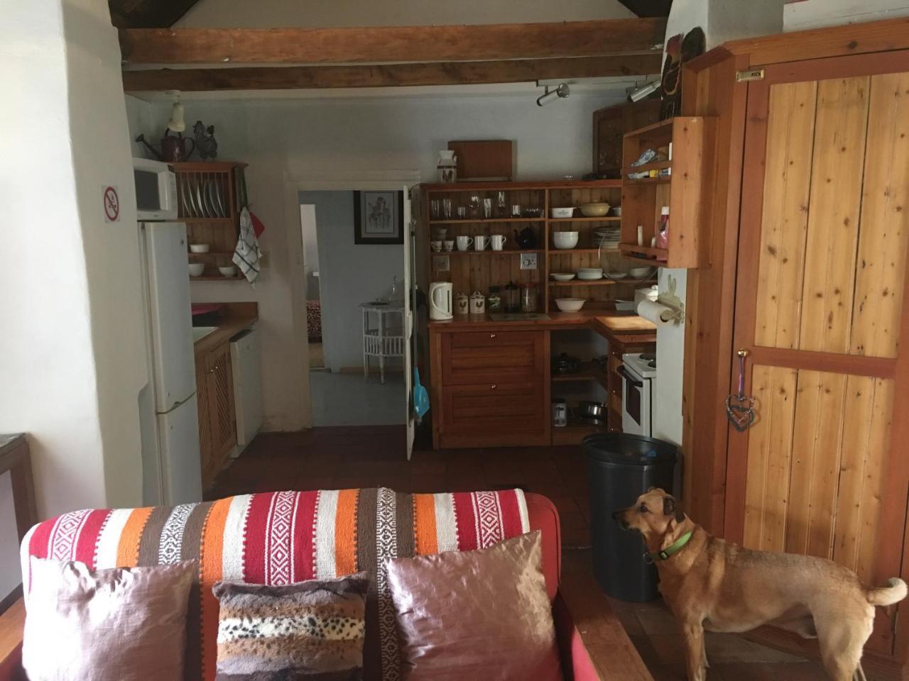 Carneddie Cottage - Main Bredasdorp Zewnętrze zdjęcie